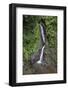 Waterfall in Mistico Hanging Bridges Park, Costa Rica.-Michele Niles-Framed Photographic Print
