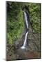 Waterfall in Mistico Hanging Bridges Park, Costa Rica.-Michele Niles-Mounted Photographic Print