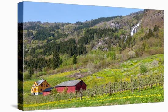 Waterfall in Norway-master1305-Stretched Canvas