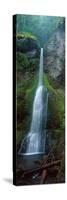 Waterfall in Olympic National Rainforest-null-Stretched Canvas