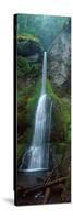 Waterfall in Olympic National Rainforest-null-Stretched Canvas