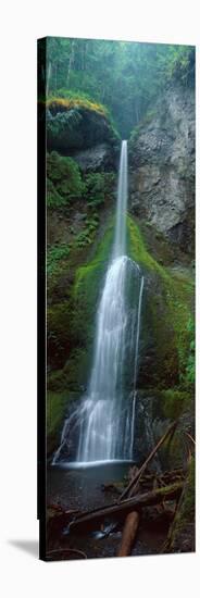 Waterfall in Olympic National Rainforest-null-Stretched Canvas