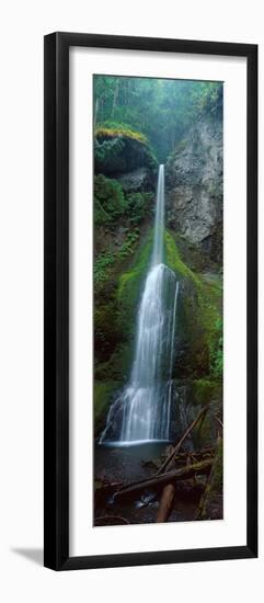 Waterfall in Olympic National Rainforest-null-Framed Premium Photographic Print