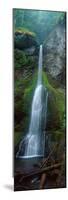 Waterfall in Olympic National Rainforest-null-Mounted Photographic Print