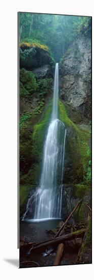 Waterfall in Olympic National Rainforest-null-Mounted Photographic Print