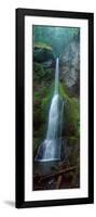 Waterfall in Olympic National Rainforest-null-Framed Photographic Print