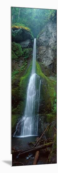 Waterfall in Olympic National Rainforest-null-Mounted Photographic Print