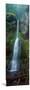 Waterfall in Olympic National Rainforest-null-Mounted Photographic Print