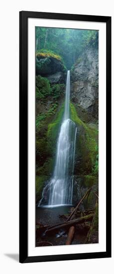 Waterfall in Olympic National Rainforest-null-Framed Photographic Print