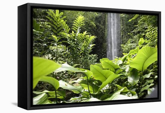 Waterfall in Rain Forest, Jurong Bird Park, Singapore-Angelo Cavalli-Framed Stretched Canvas