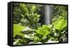 Waterfall in Rain Forest, Jurong Bird Park, Singapore-Angelo Cavalli-Framed Stretched Canvas