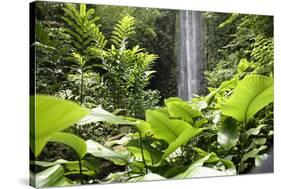 Waterfall in Rain Forest, Jurong Bird Park, Singapore-Angelo Cavalli-Stretched Canvas