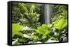 Waterfall in Rain Forest, Jurong Bird Park, Singapore-Angelo Cavalli-Framed Stretched Canvas