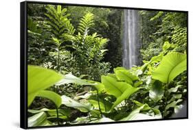 Waterfall in Rain Forest, Jurong Bird Park, Singapore-Angelo Cavalli-Framed Stretched Canvas