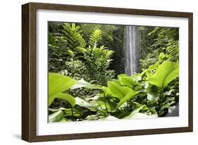 Waterfall in Rain Forest, Jurong Bird Park, Singapore-Angelo Cavalli-Framed Photographic Print