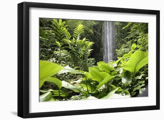 Waterfall in Rain Forest, Jurong Bird Park, Singapore-Angelo Cavalli-Framed Photographic Print