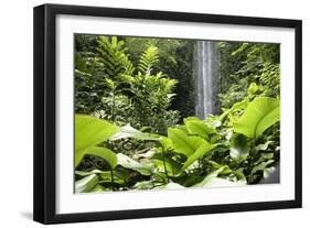 Waterfall in Rain Forest, Jurong Bird Park, Singapore-Angelo Cavalli-Framed Photographic Print