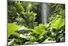 Waterfall in Rain Forest, Jurong Bird Park, Singapore-Angelo Cavalli-Mounted Photographic Print