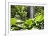 Waterfall in Rain Forest, Jurong Bird Park, Singapore-Angelo Cavalli-Framed Photographic Print