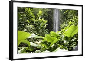 Waterfall in Rain Forest, Jurong Bird Park, Singapore-Angelo Cavalli-Framed Photographic Print