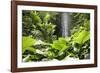 Waterfall in Rain Forest, Jurong Bird Park, Singapore-Angelo Cavalli-Framed Photographic Print