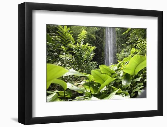 Waterfall in Rain Forest, Jurong Bird Park, Singapore-Angelo Cavalli-Framed Photographic Print