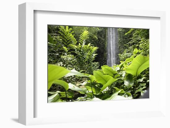 Waterfall in Rain Forest, Jurong Bird Park, Singapore-Angelo Cavalli-Framed Photographic Print