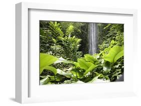 Waterfall in Rain Forest, Jurong Bird Park, Singapore-Angelo Cavalli-Framed Photographic Print