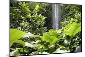 Waterfall in Rain Forest, Jurong Bird Park, Singapore-Angelo Cavalli-Mounted Photographic Print