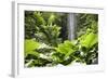 Waterfall in Rain Forest, Jurong Bird Park, Singapore-Angelo Cavalli-Framed Photographic Print