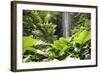 Waterfall in Rain Forest, Jurong Bird Park, Singapore-Angelo Cavalli-Framed Photographic Print