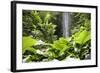 Waterfall in Rain Forest, Jurong Bird Park, Singapore-Angelo Cavalli-Framed Photographic Print