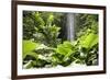 Waterfall in Rain Forest, Jurong Bird Park, Singapore-Angelo Cavalli-Framed Photographic Print