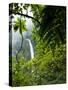 Waterfall in Rainforest Along Fortuna River, La Fortuna, Costa Rica-Paul Souders-Stretched Canvas