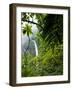 Waterfall in Rainforest Along Fortuna River, La Fortuna, Costa Rica-Paul Souders-Framed Photographic Print