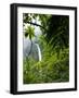 Waterfall in Rainforest Along Fortuna River, La Fortuna, Costa Rica-Paul Souders-Framed Photographic Print