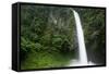 Waterfall in Rainforest Along Fortuna River-null-Framed Stretched Canvas