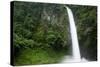 Waterfall in Rainforest Along Fortuna River-null-Stretched Canvas