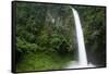 Waterfall in Rainforest Along Fortuna River-null-Framed Stretched Canvas