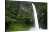 Waterfall in Rainforest Along Fortuna River-null-Stretched Canvas
