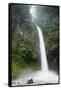 Waterfall in Rainforest Along Fortuna River-null-Framed Stretched Canvas