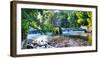 Waterfall in Speedwell Lake Park, Morristown, New Jersey-George Oze-Framed Photographic Print