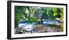 Waterfall in Speedwell Lake Park, Morristown, New Jersey-George Oze-Framed Photographic Print