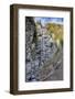 Waterfall in the Autumnal Wood-Jurgen Ulmer-Framed Photographic Print