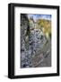 Waterfall in the Autumnal Wood-Jurgen Ulmer-Framed Photographic Print