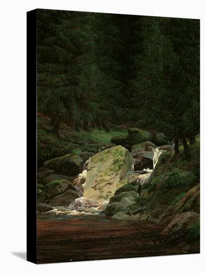 Waterfall in the Fir Wood, c.1828-Caspar David Friedrich-Stretched Canvas