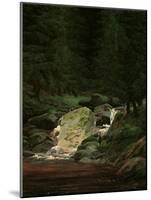 Waterfall in the Fir Wood, c.1828-Caspar David Friedrich-Mounted Giclee Print