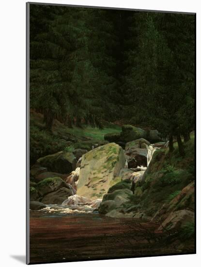 Waterfall in the Fir Wood, c.1828-Caspar David Friedrich-Mounted Giclee Print