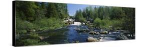 Waterfall in the Forest, Michigan, USA-null-Stretched Canvas