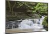 Waterfall in the Monbachtal, Black Forest, Baden-Wurttemberg, Germany-Markus Lange-Mounted Photographic Print